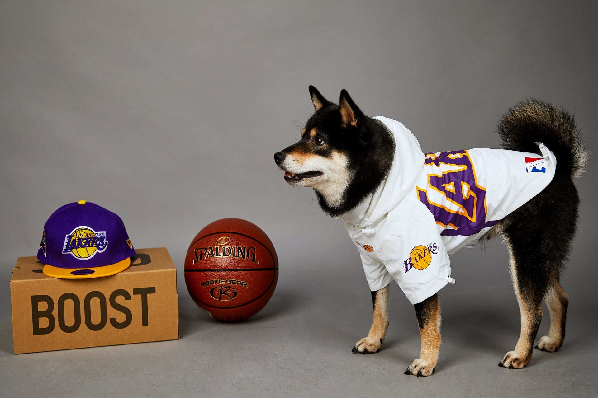 The Perfect Jacket for Your Pet: Polyester Pet Shell Jacket